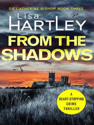 From the Shadows - ebook